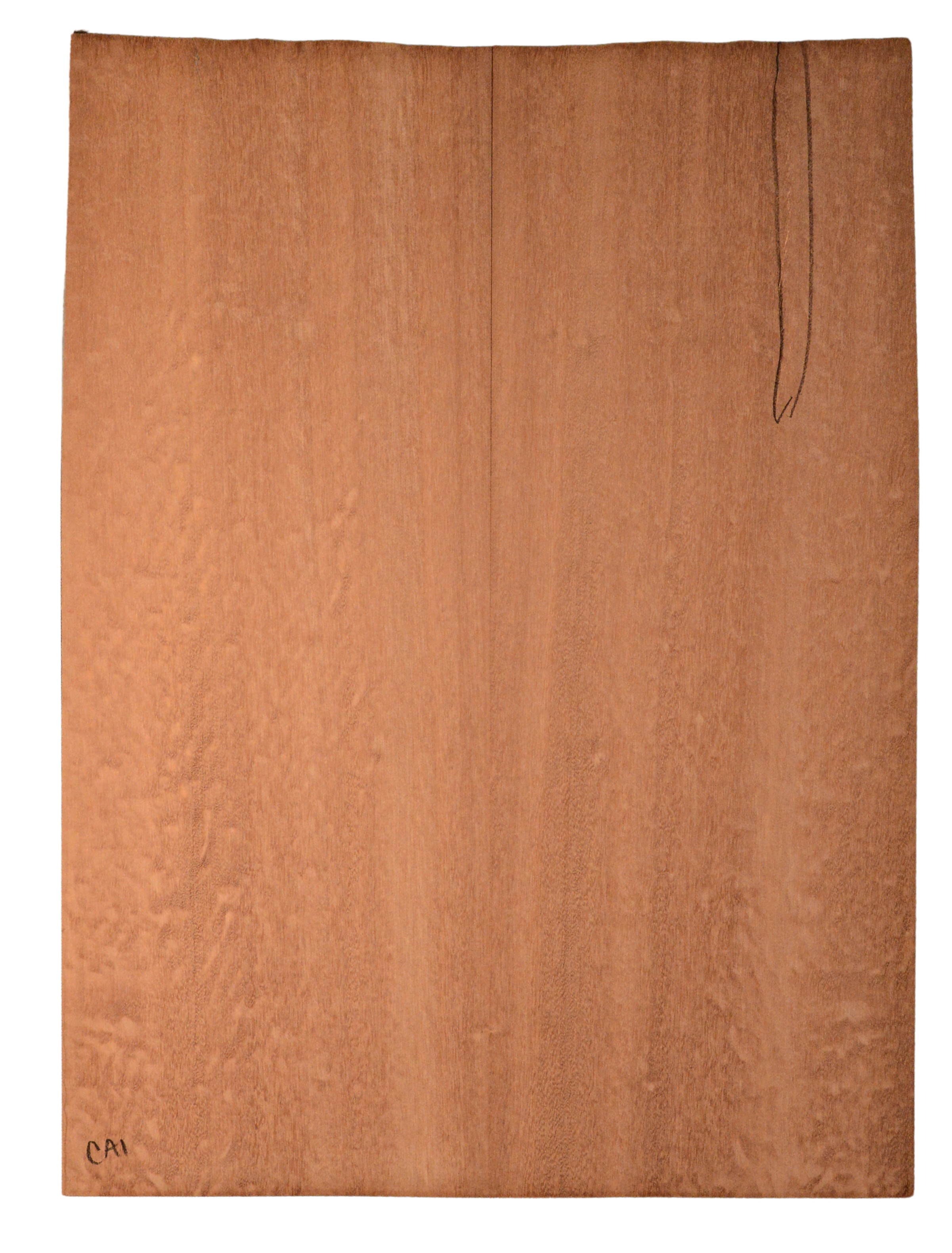 Sapele GuitarBack2pcATC SAPL4.G.105
