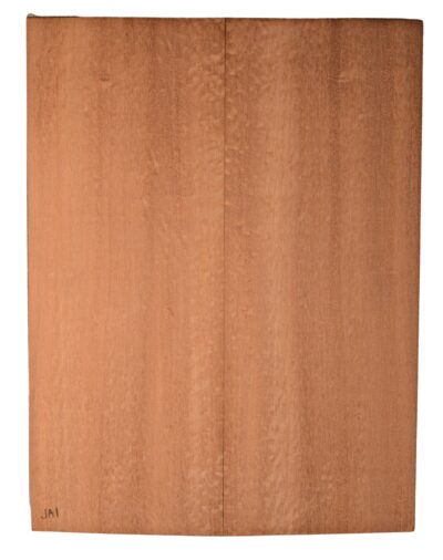 Sapele GuitarBack2pcATC SAPL4.G.106