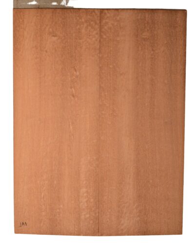 Sapele GuitarBack2pcATC SAPL4.G.107