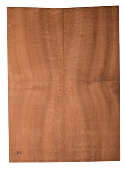 Sapele GuitarBack2pcATC SAPL4.G.118