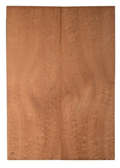 Sapele GuitarBack2pcATC SAPL4.G.125