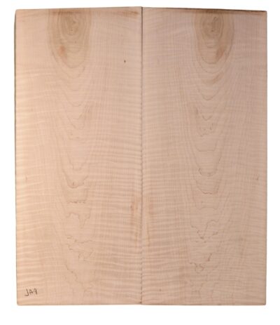 Maple (Soft) GuitarBack2pcATC SOMA.045