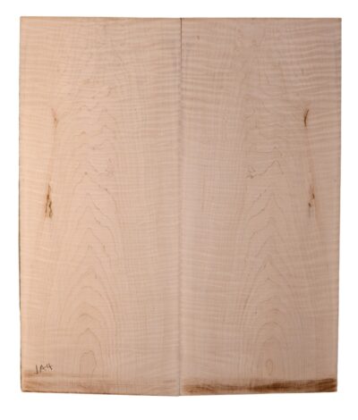 Maple (Soft) GuitarBack2pcATC SOMA.046