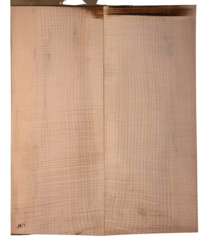 Maple (Soft) GuitarBack2pcATC SOMA.115