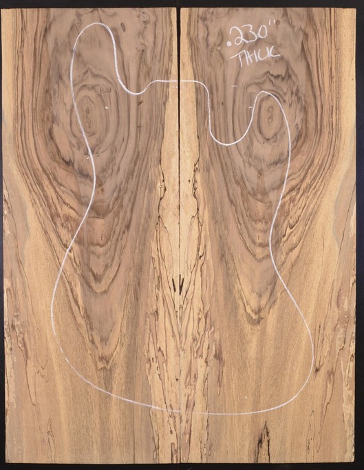 Walnut (Black) GuitarSolidBodyTopATC WALMX.G.017