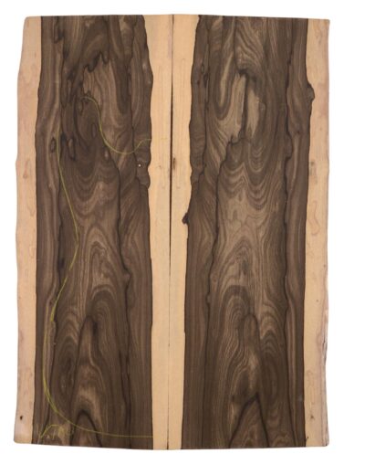 Ziricote GuitarSolidBodyTopATC ZIRSHELF.G.146