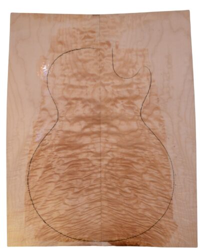 Maple (Big Leaf) GuitarSolidBodyTopATC 23965.G.034