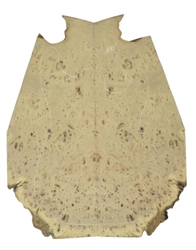 Elm (Red) GuitarSolidBodyTopATC 26213.G.017