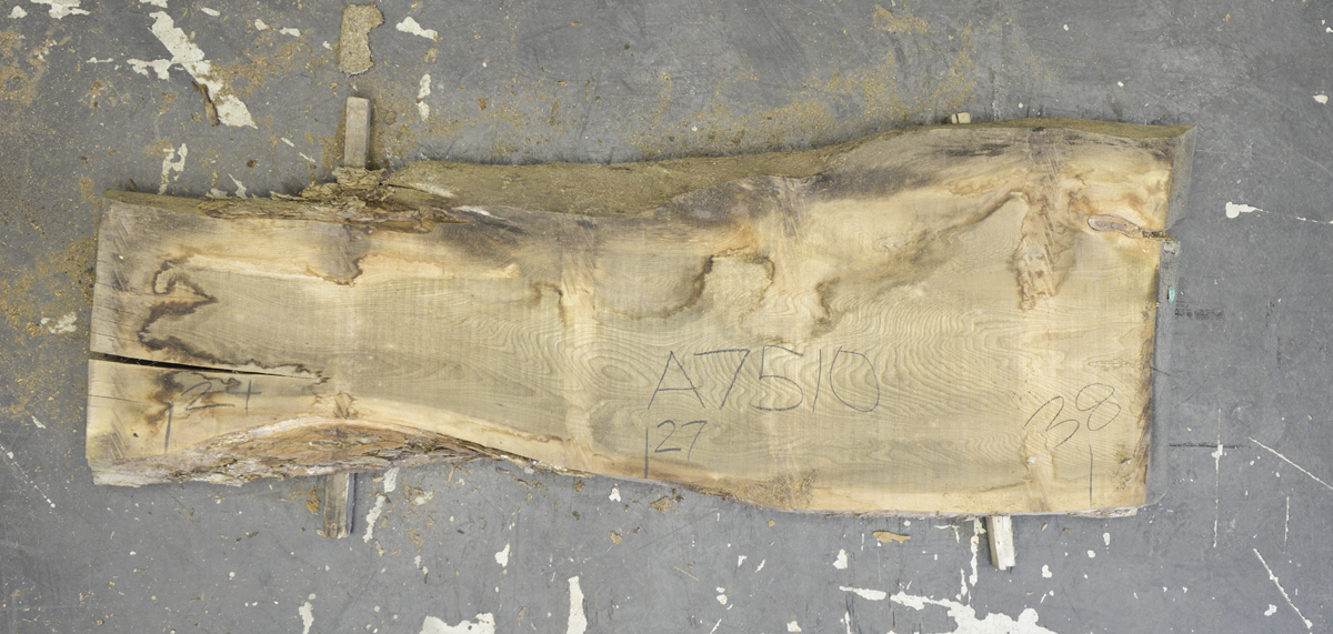 Elm (English Wych) Board BA7510