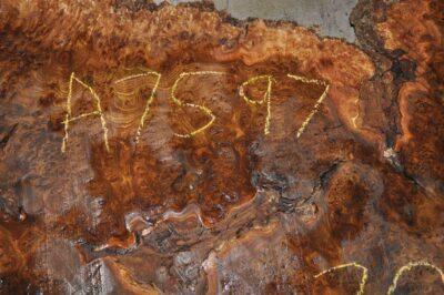 Elm (English Wych) Board BA7597