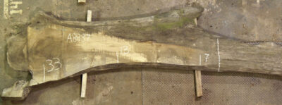 Walnut (European) Board BA8887