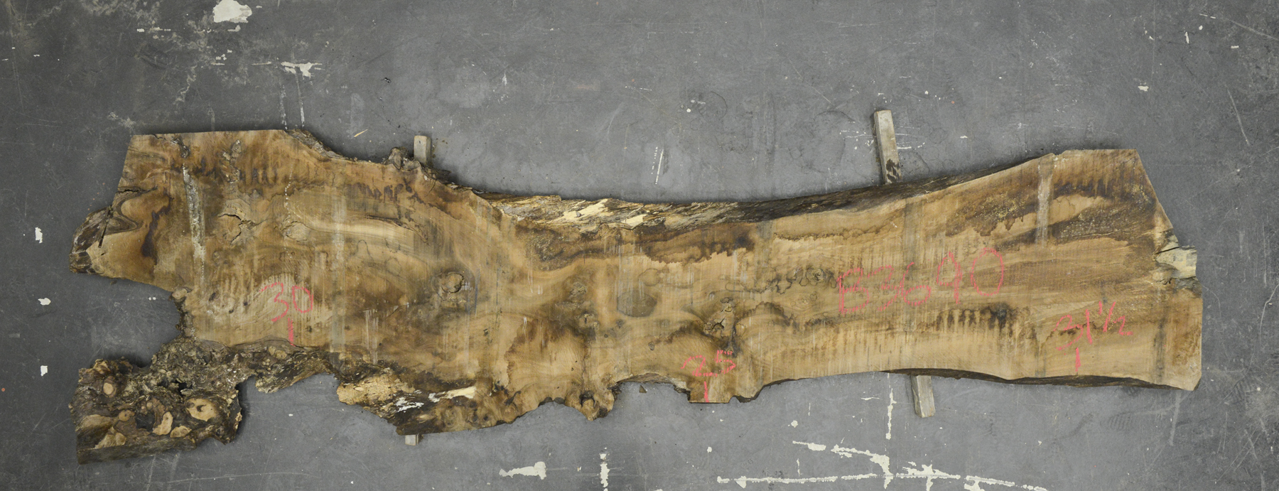 Walnut (European) Board BB3690