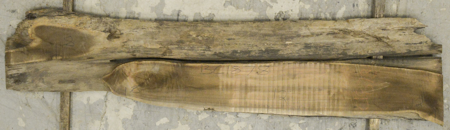 Koa Board BC1878