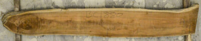 Koa Board BC1880