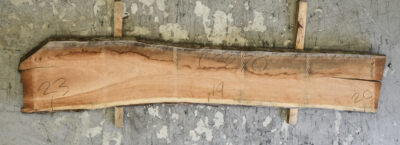 Cherry (American) Board BC3270