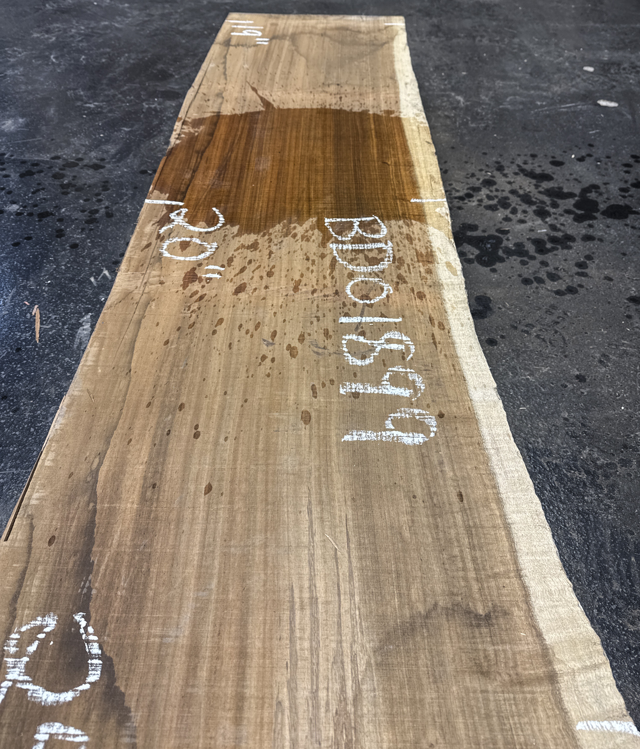 Blackwood (Tasmanian) Board BD01899