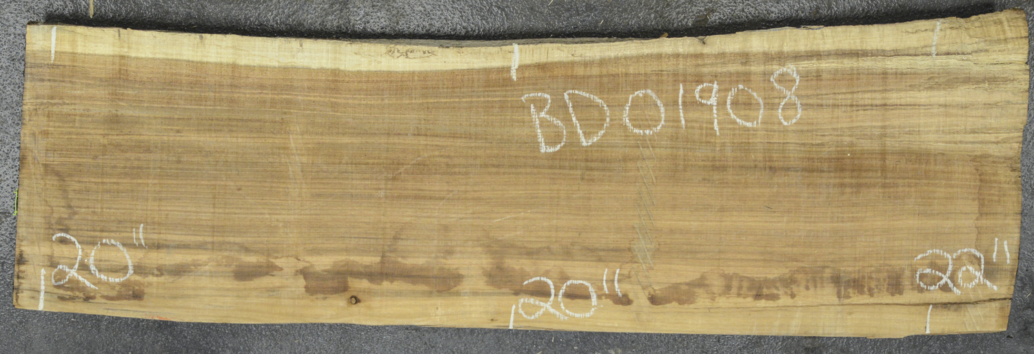Blackwood (Tasmanian) Board BD01908