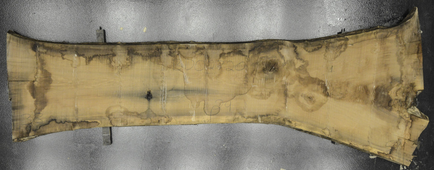 Walnut (Black) Board BD02720
