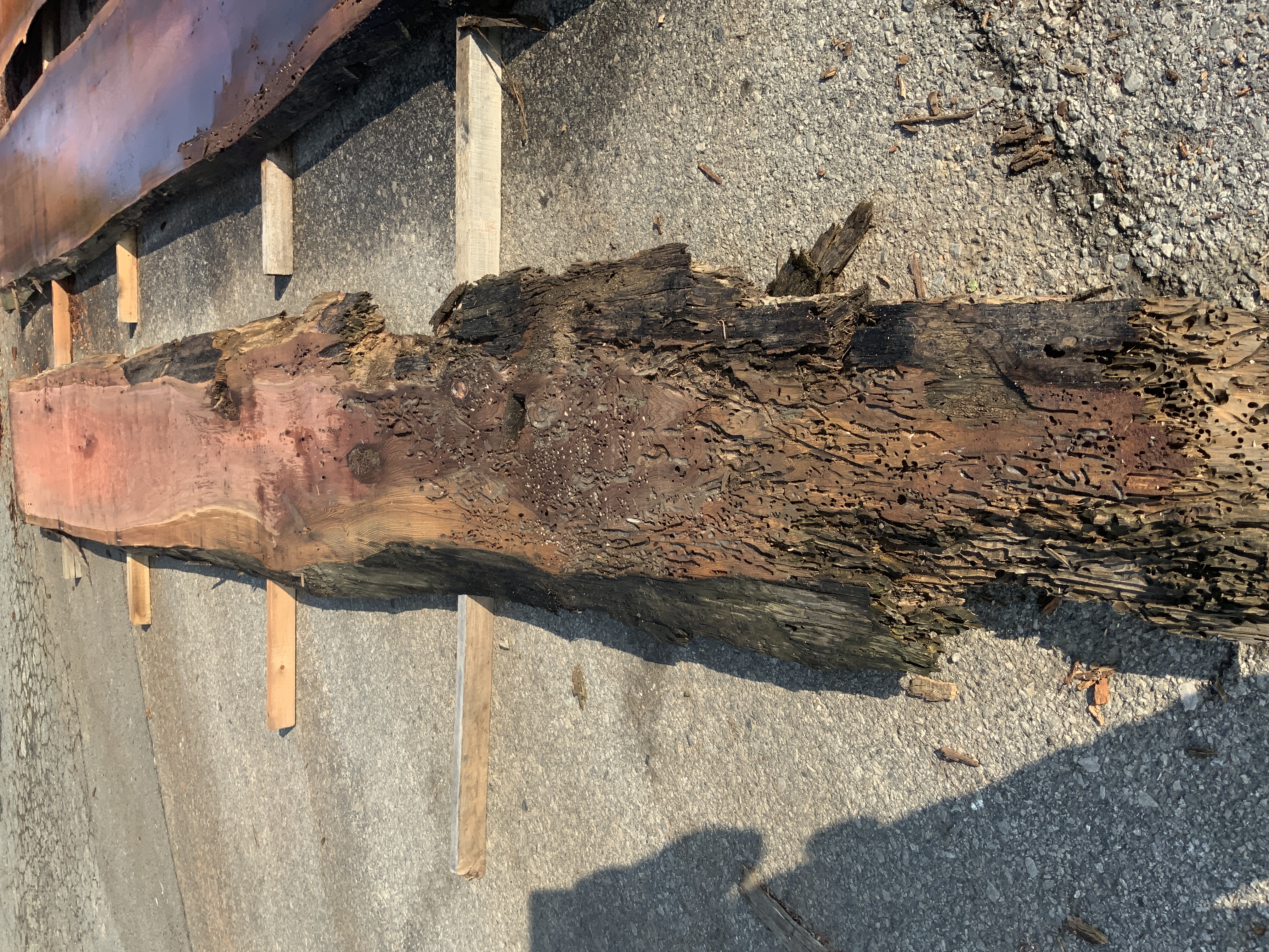 Redwood (Sinker) Board BD03292