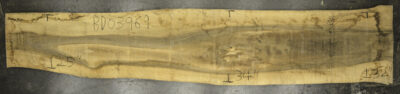 Walnut (European) Board BD03969