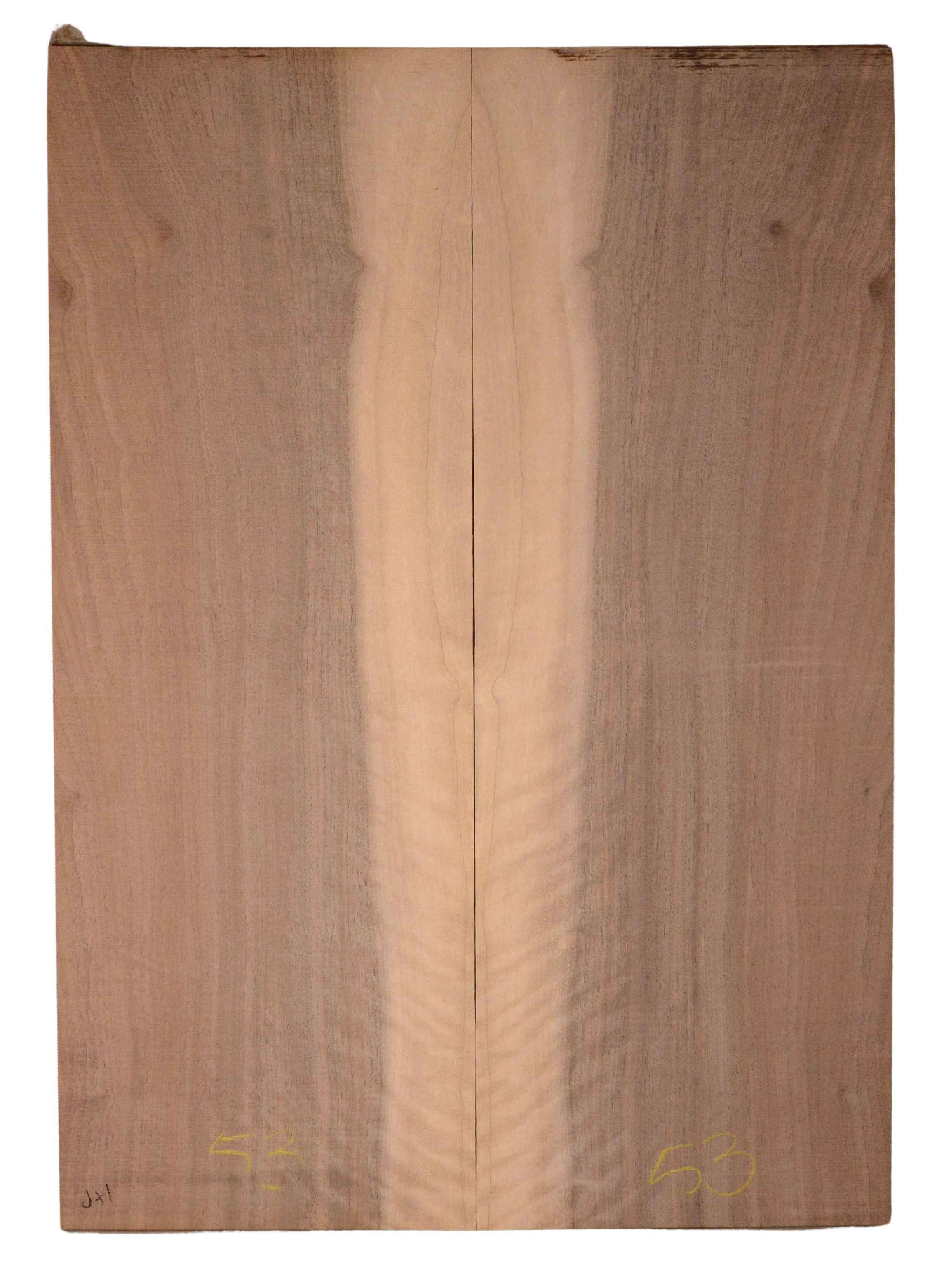 Walnut (English) GuitarBack2pcATC CHAMPTR.G.010