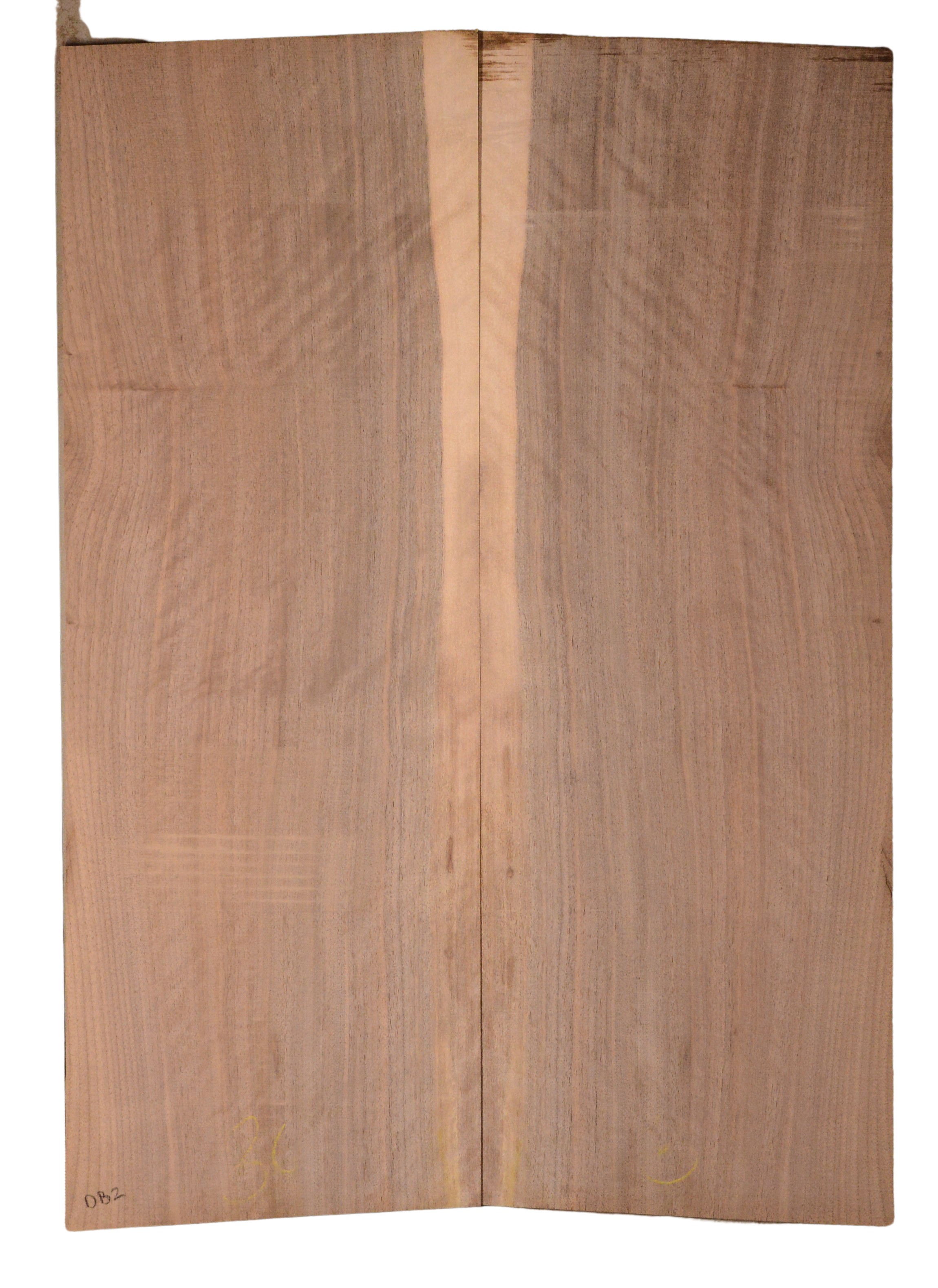 Walnut (English) GuitarBack2pcATC CHAMPTR.G.012