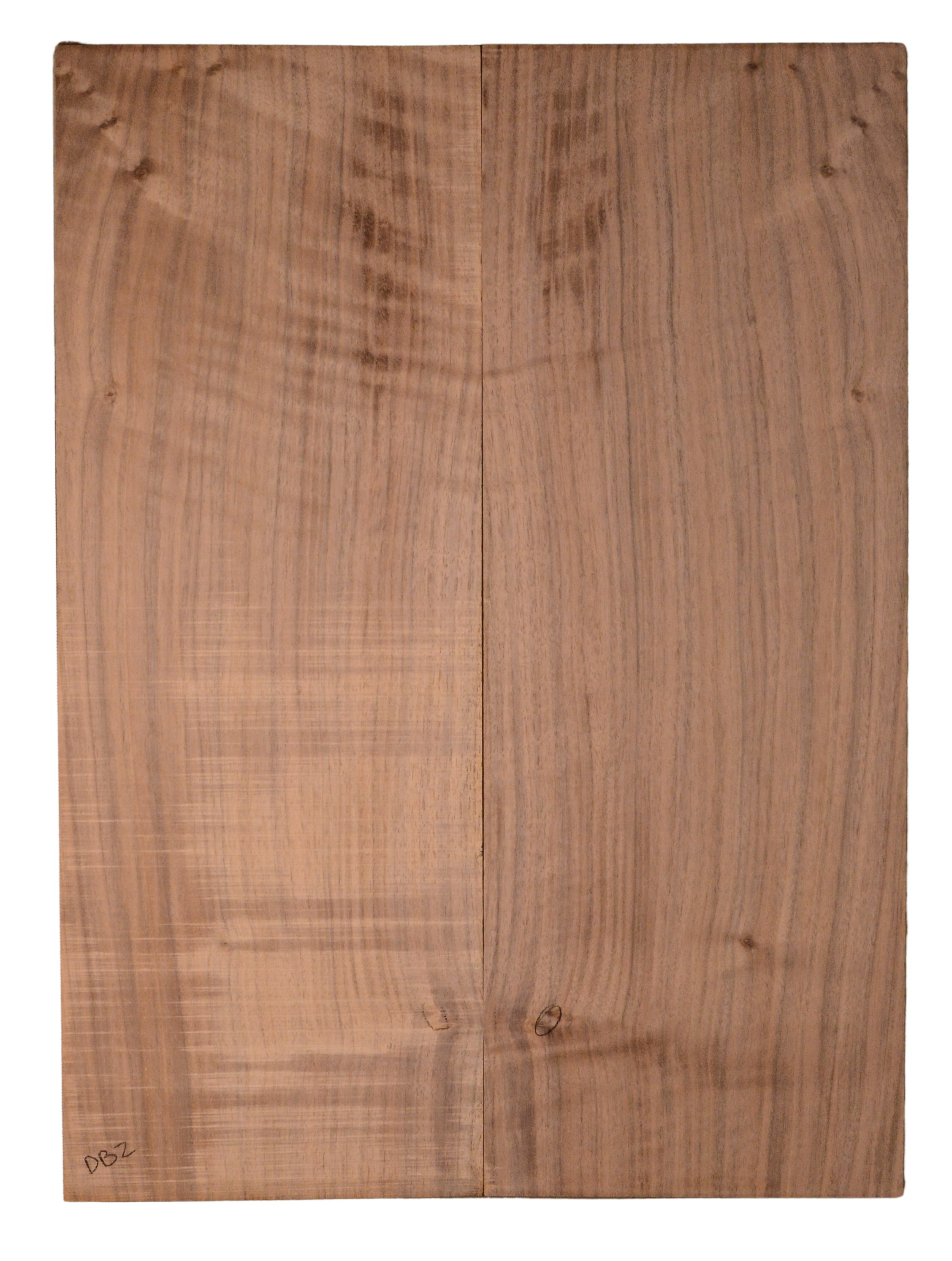 Walnut (English) GuitarBack2pcATC CHAMPTR.G.013
