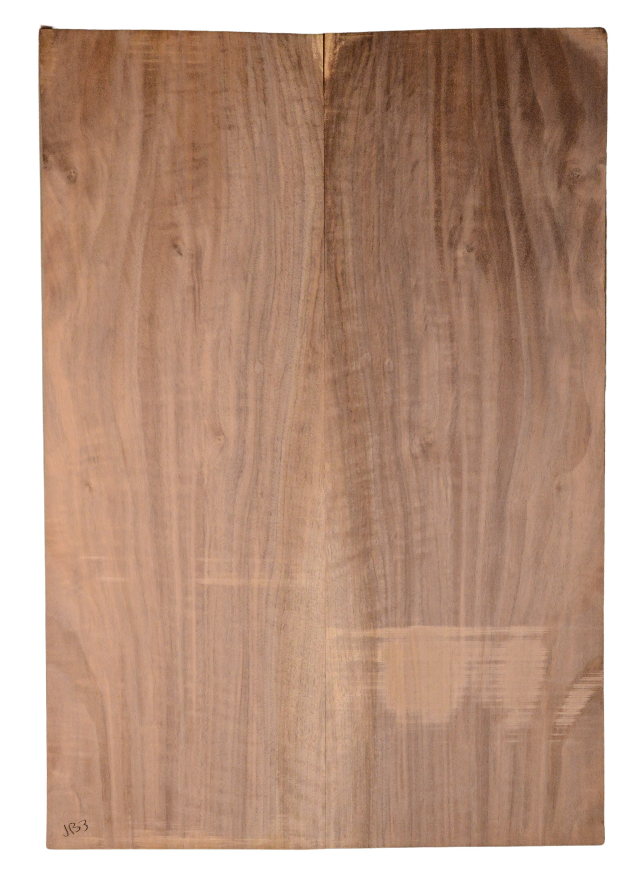 Walnut (English) GuitarBack2pcATC CHAMPTR.G.033