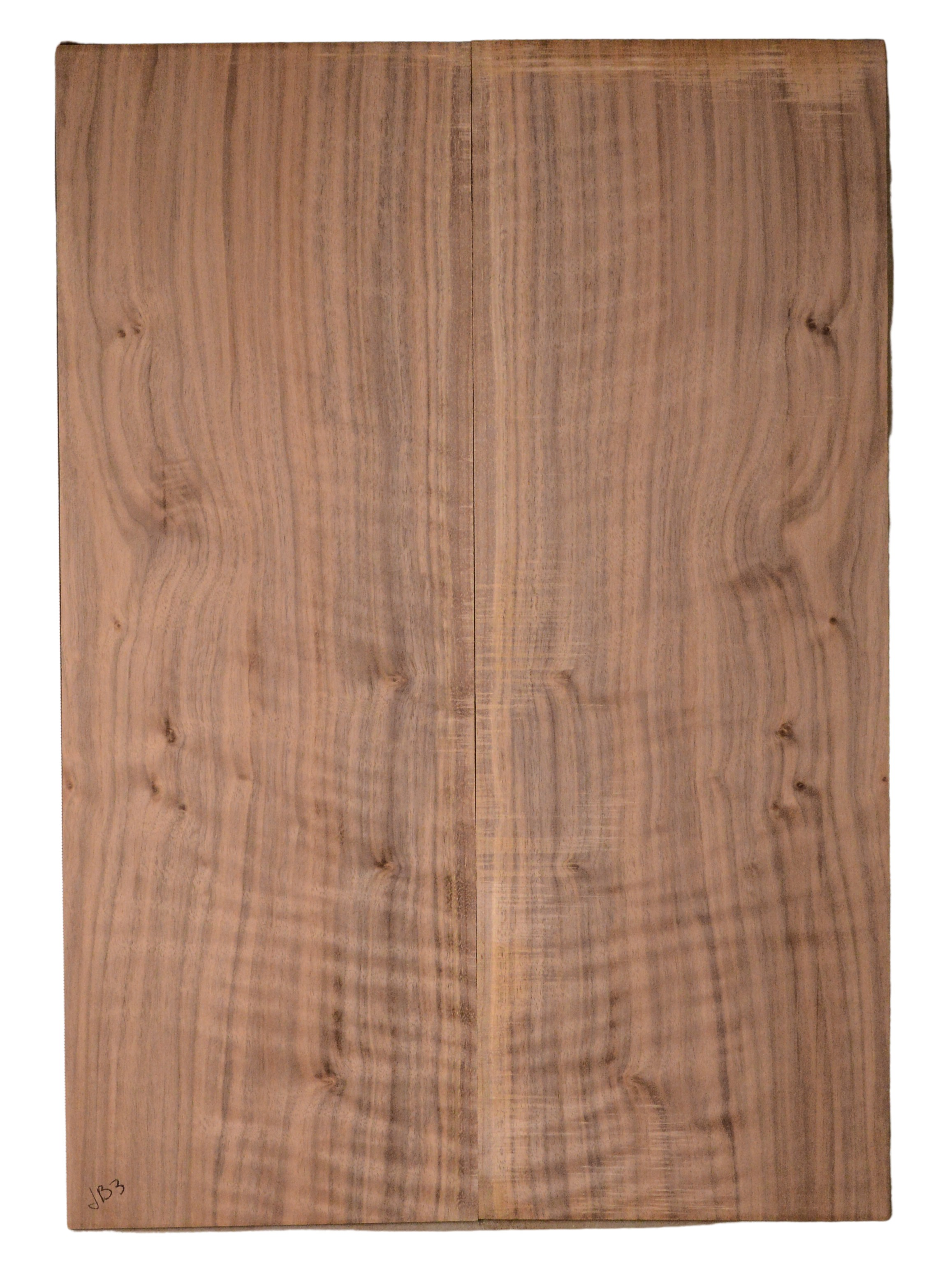 Walnut (English) GuitarBack2pcATC CHAMPTR.G.035
