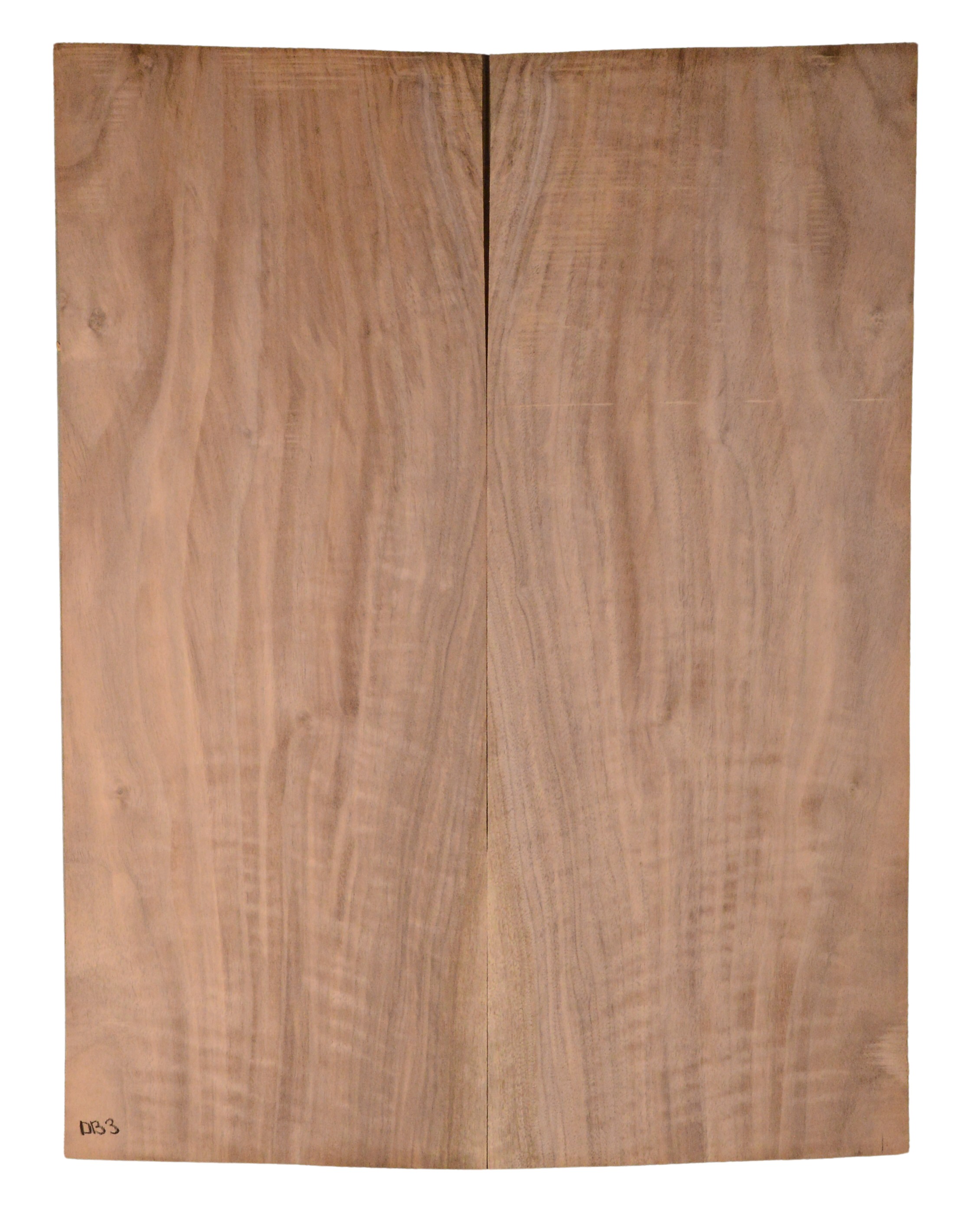 Walnut (English) GuitarBack2pcATC CHAMPTR.G.095