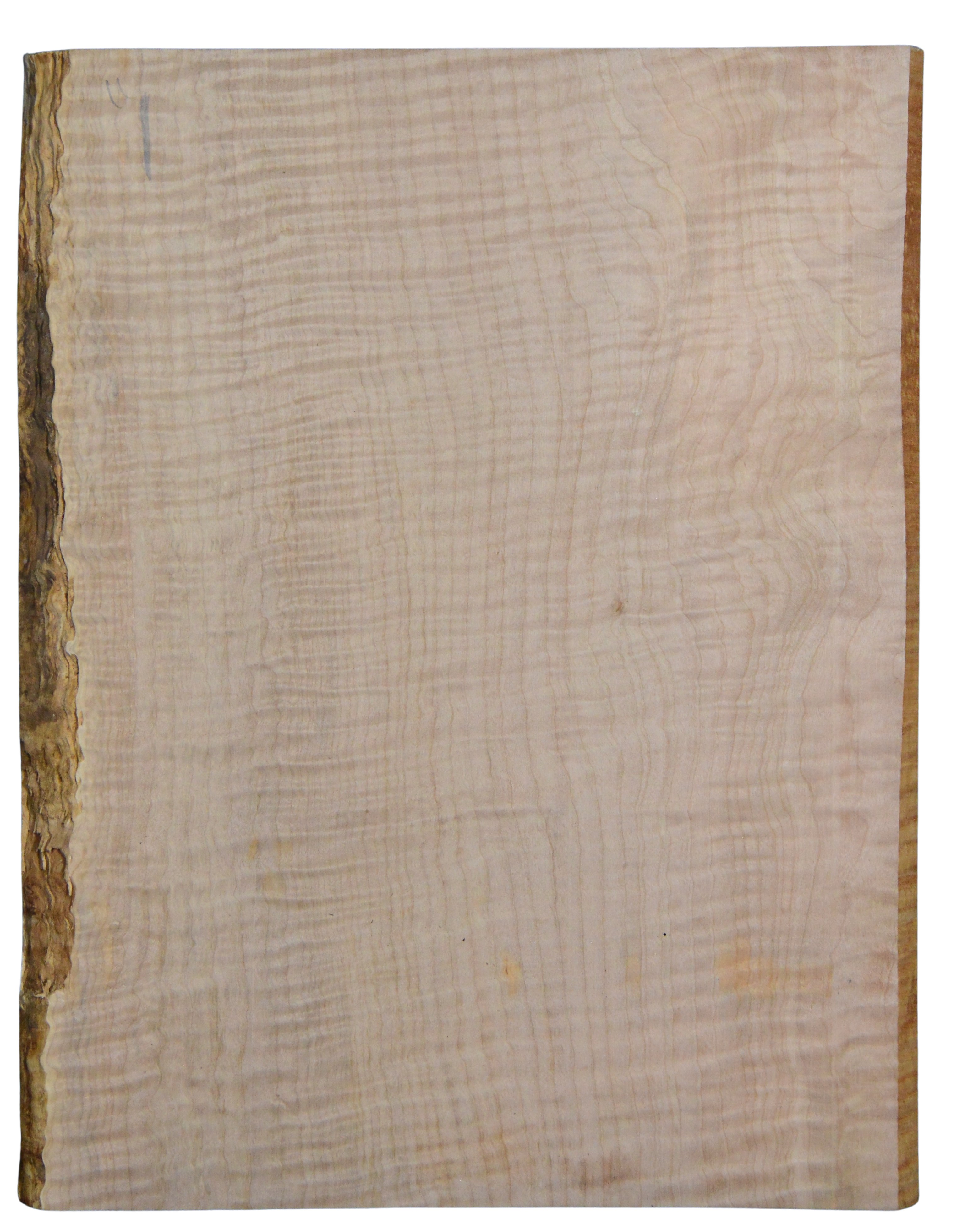 Maple (Big Leaf) GuitarSolidBodyTopATC CRLLP.G.032