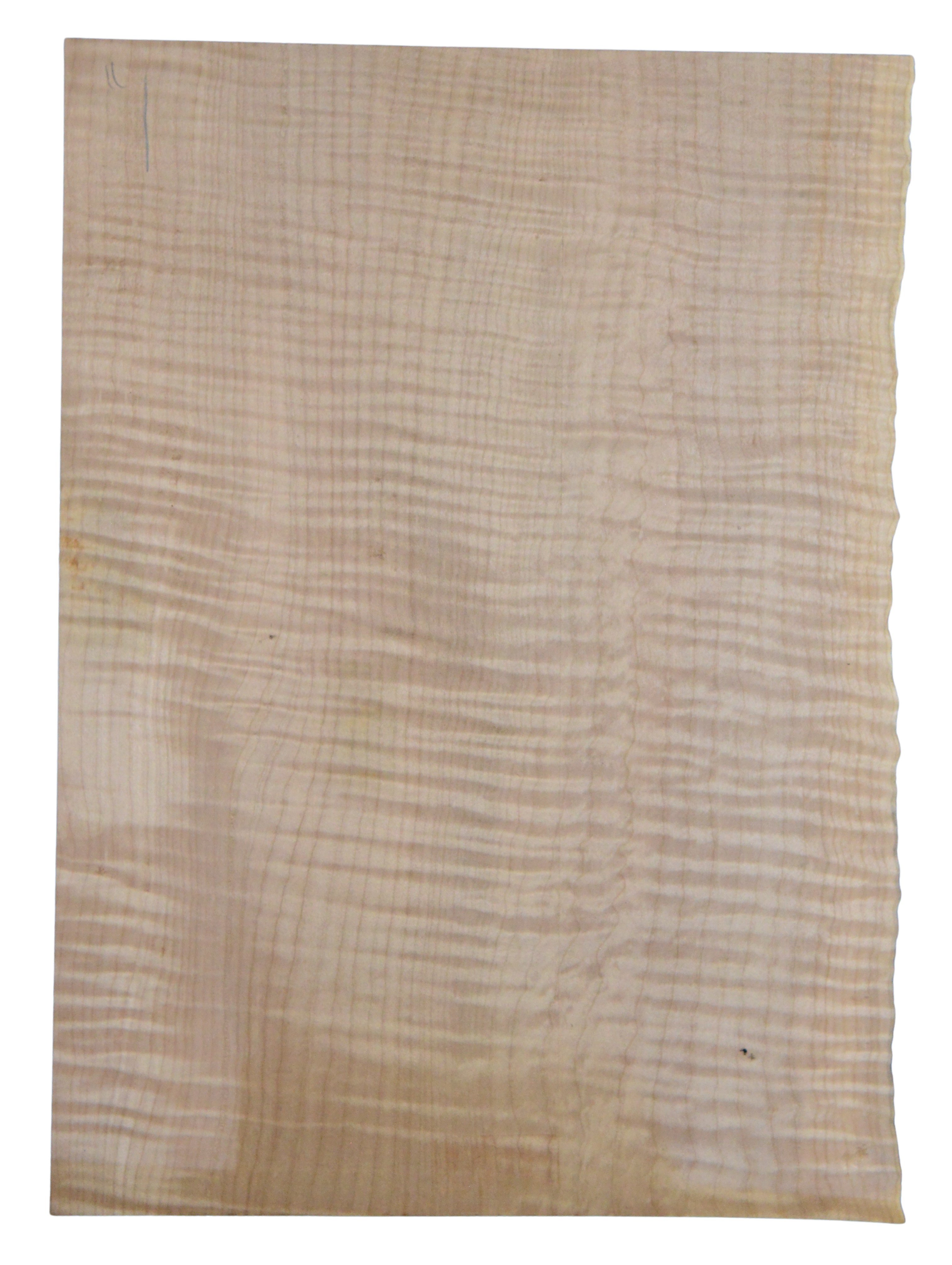 Maple (Big Leaf) GuitarSolidBodyTopATC CRLLP.G.034