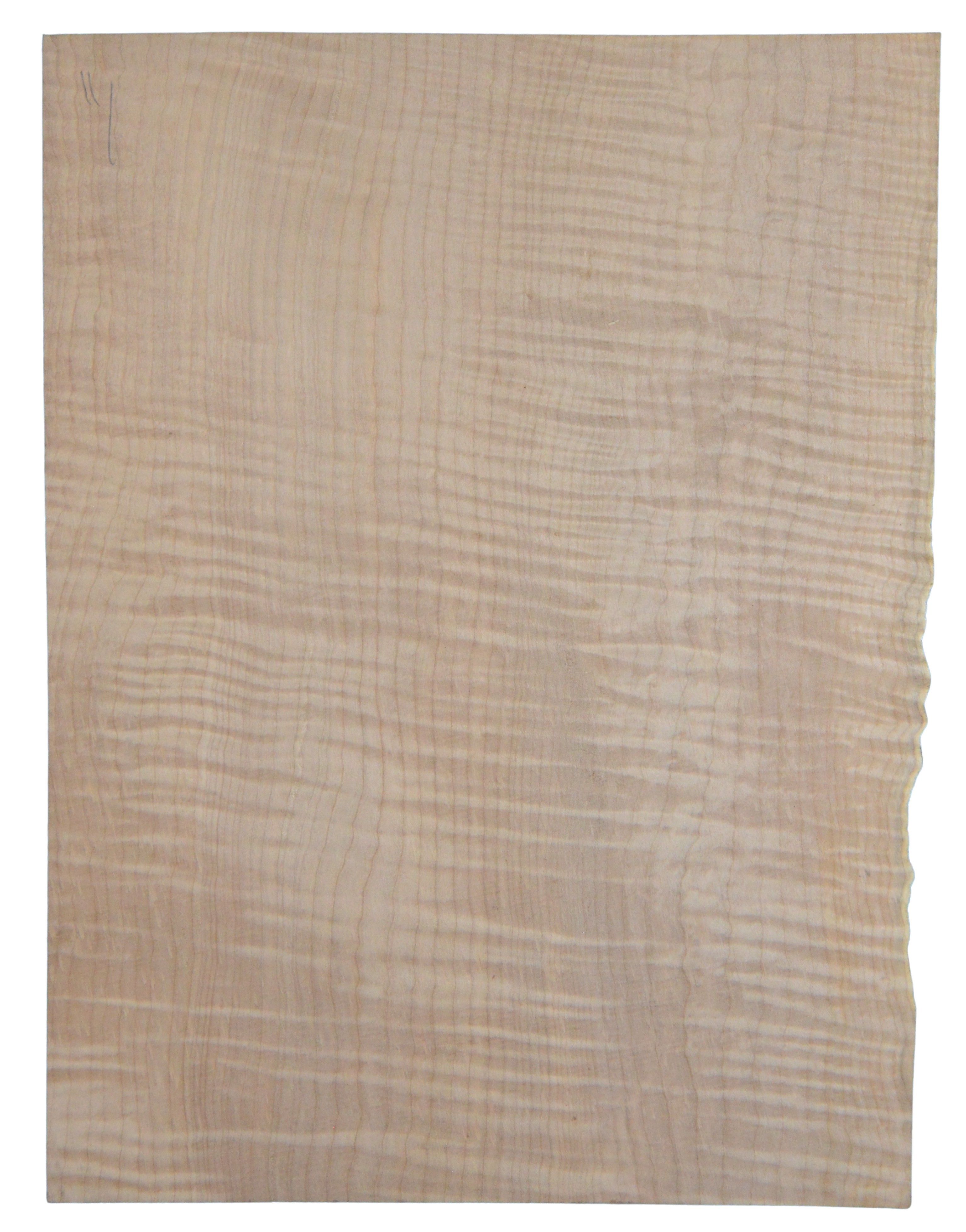 Maple (Big Leaf) GuitarSolidBodyTopATC CRLLP.G.035