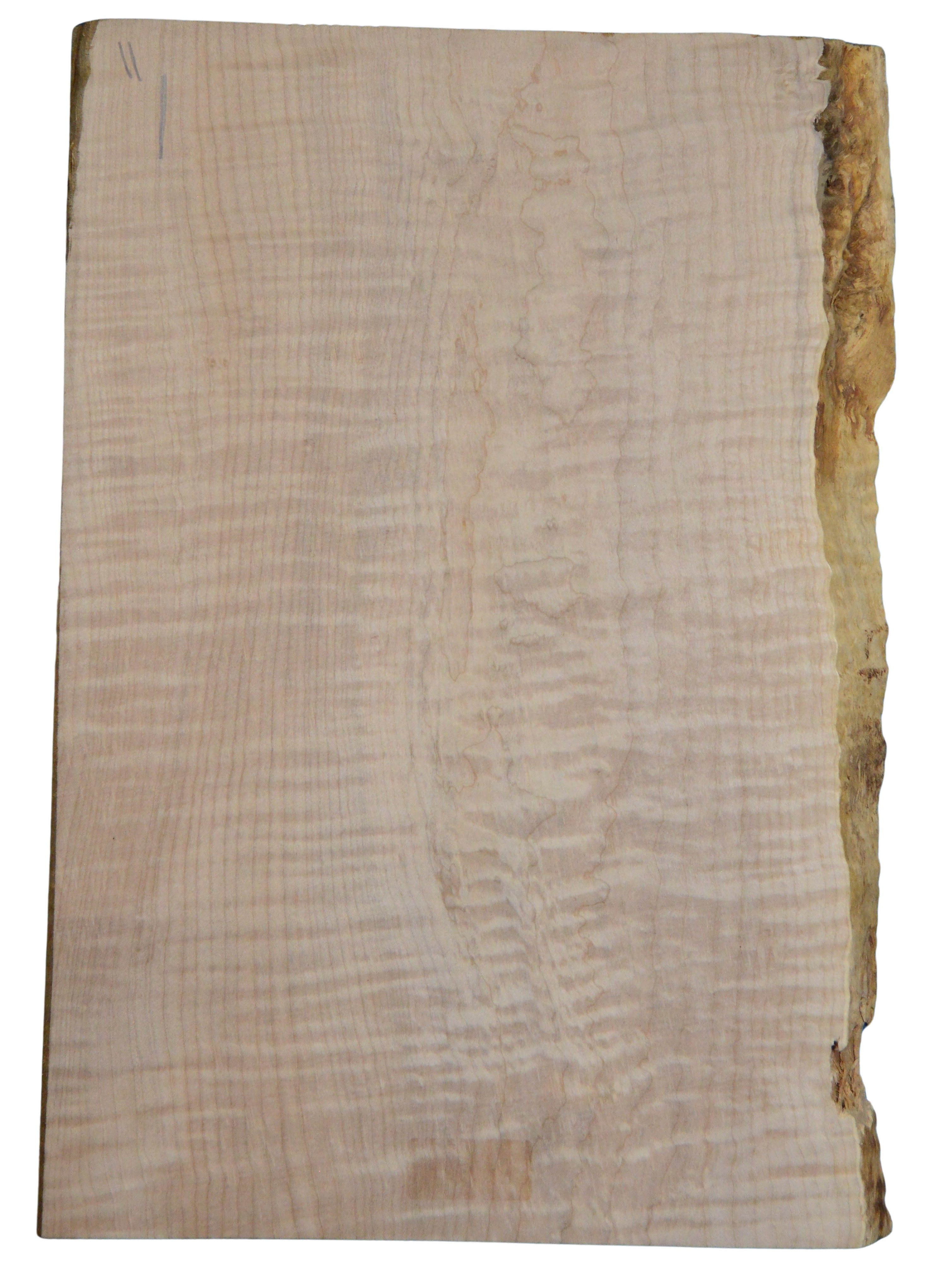 Maple (Big Leaf) GuitarSolidBodyTopATC CRLLP.G.094