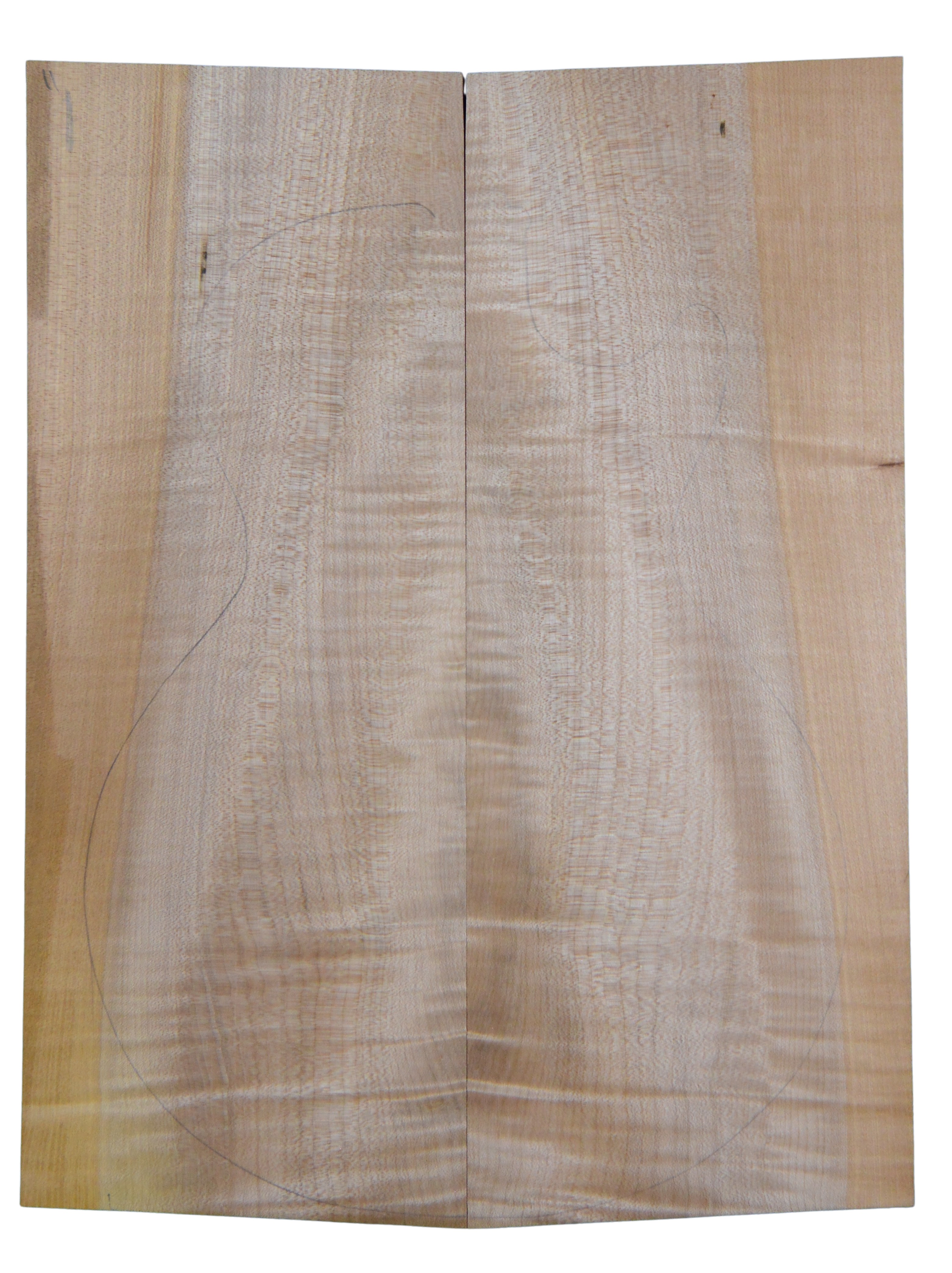 Maple (Big Leaf) GuitarSolidBodyTopATC CRLLP.G.153