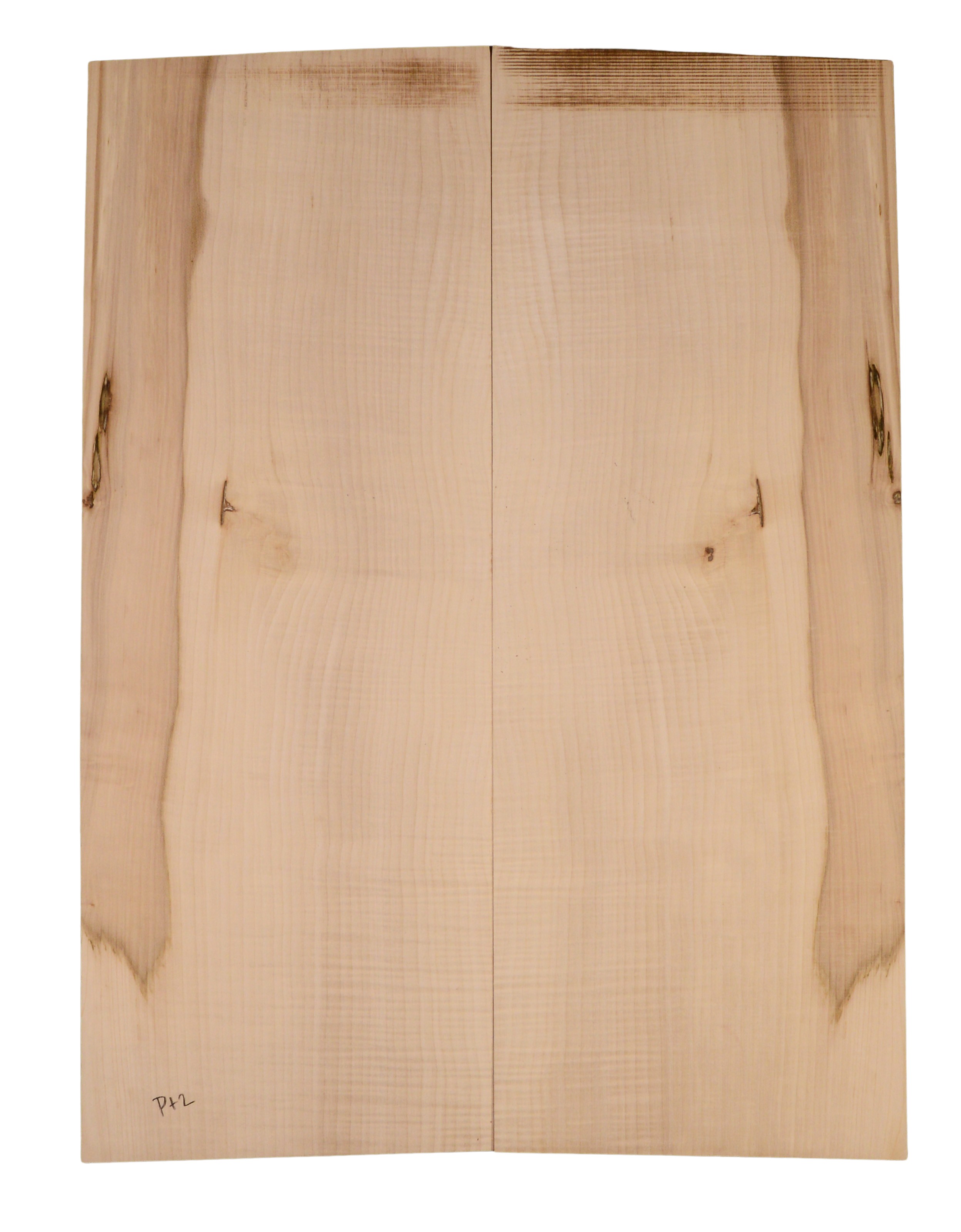 Sycamore (English) GuitarBack2pcATC EM.ENSYC1.015