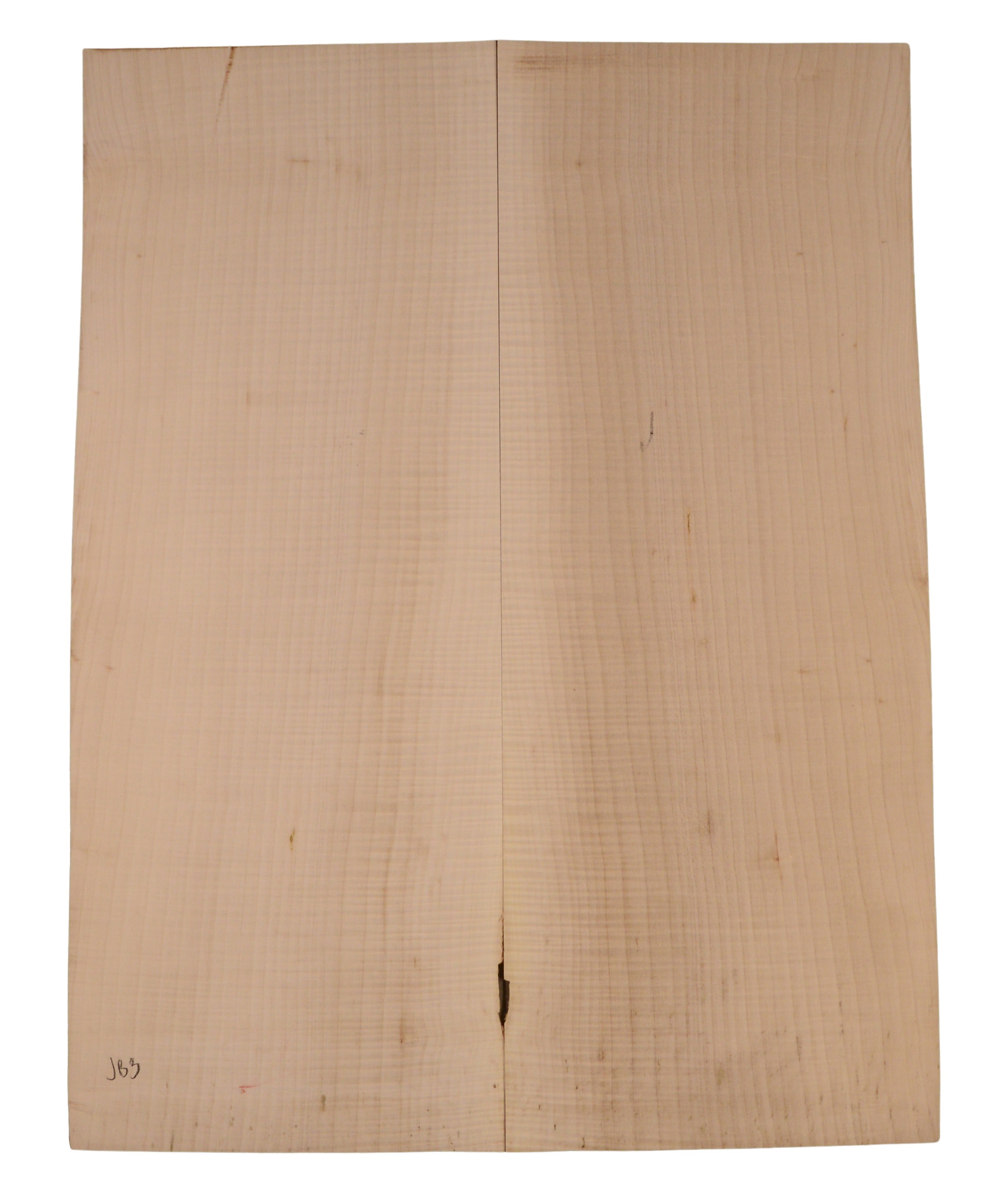 Sycamore (English) GuitarBack2pcATC EM.ENSYC1.018