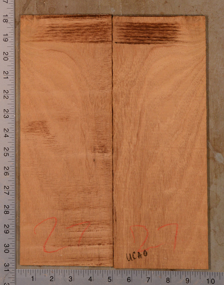 Mahogany (Genuine) UkeBack2pcATC GMAH5.114