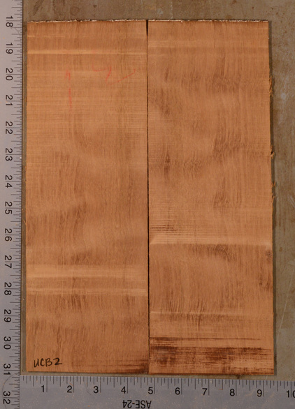 Mahogany (Genuine) UkeBack2pcATC GMAH5.132