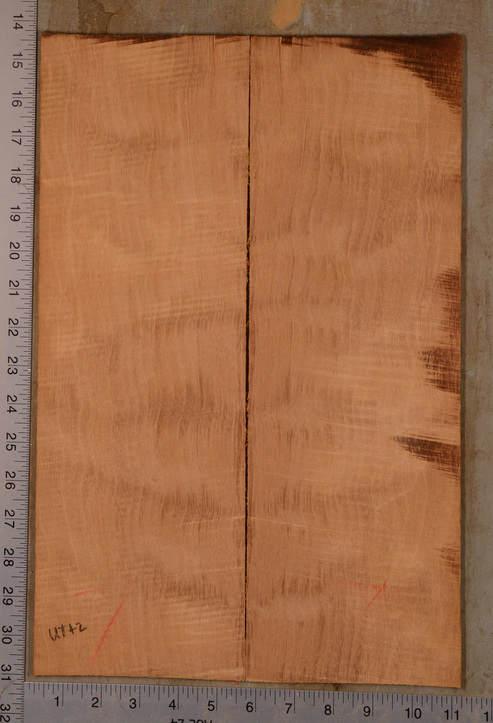 Mahogany (Genuine) UkeBack2pcATC GMAH5.143